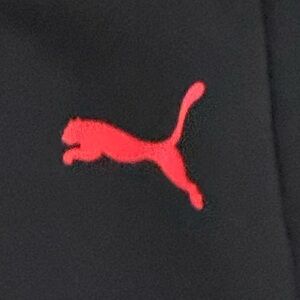 Puma Sweatpants Speedcat Jordan 1 Retro Nike Dunk New Balance 2002R Adidas Samba